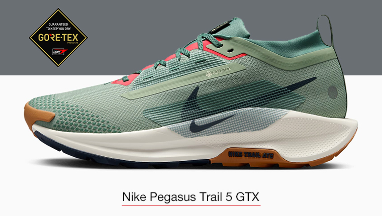 Nike Pegasus Trail 5 GTX