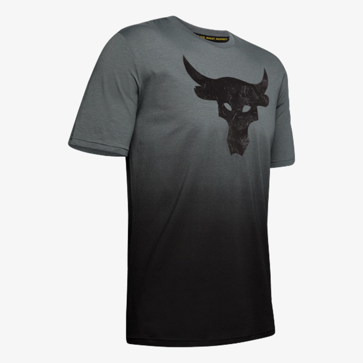 Under Armour PROJECT ROCK BULL GRAPHIC SS 