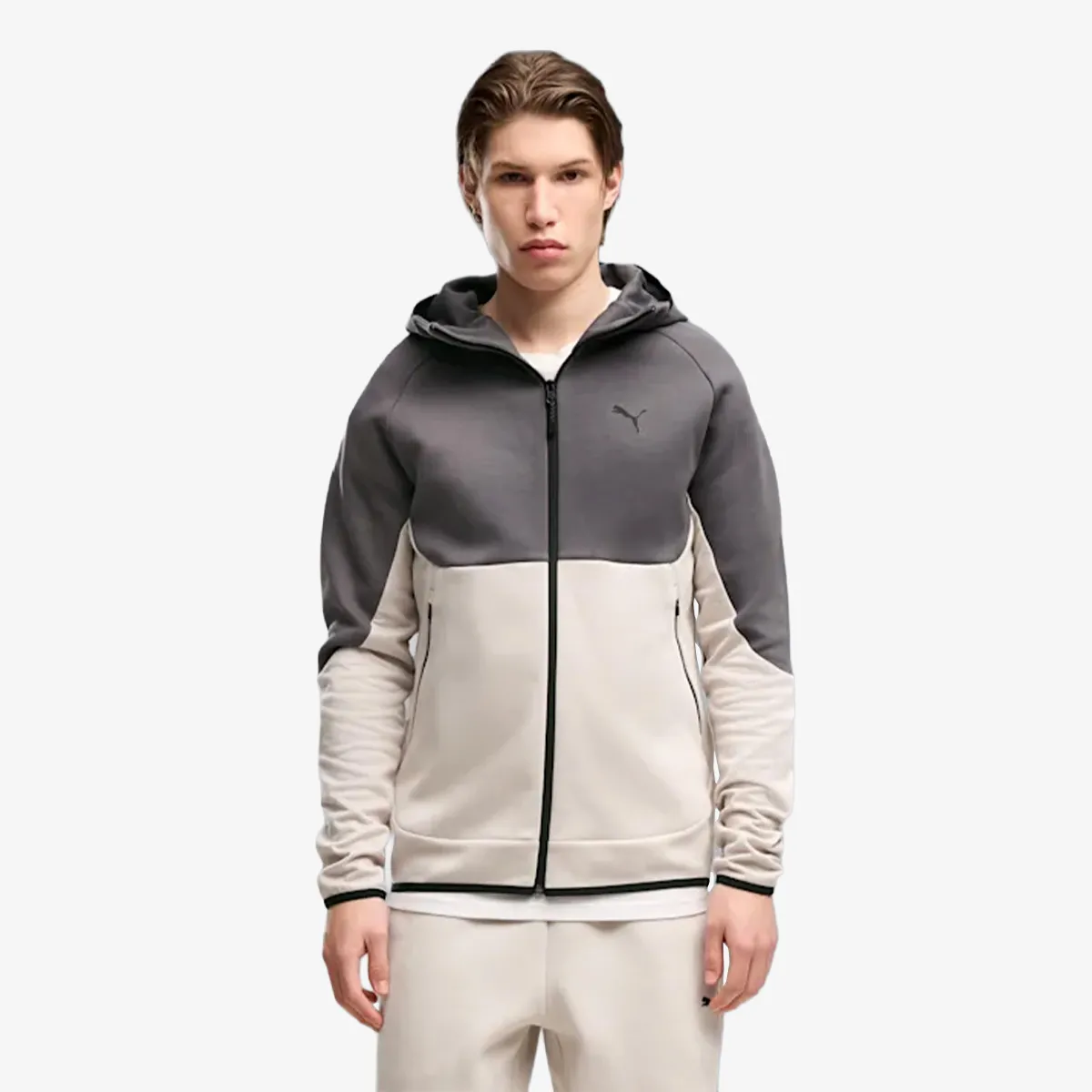Puma Elevated
