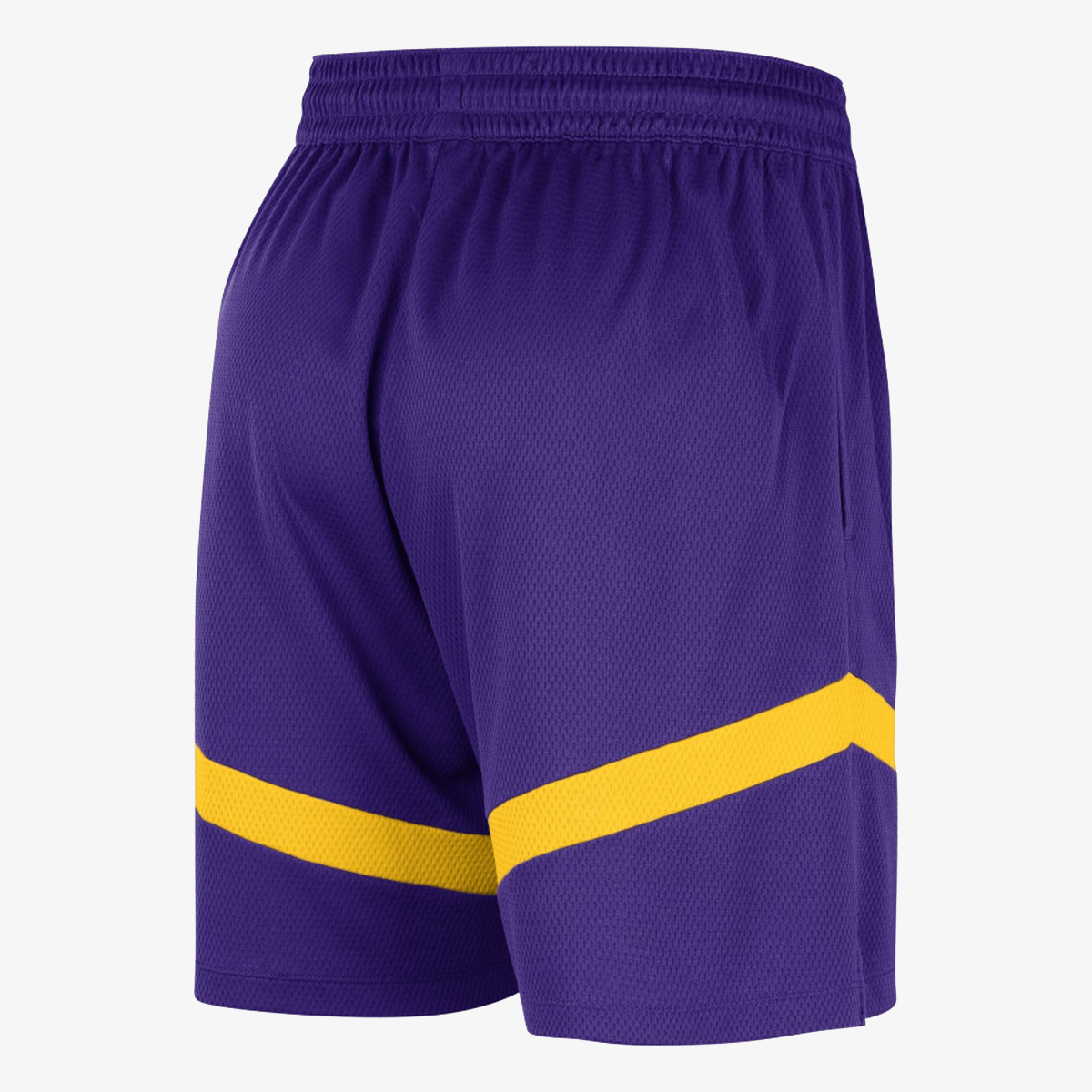 Nike Los Angeles Lakers Icon 