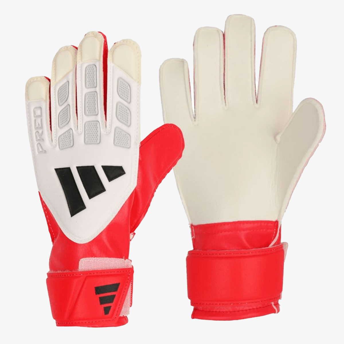 adidas Predator | Sport Vision – Prodavnica Sportske opreme | Sport Vision