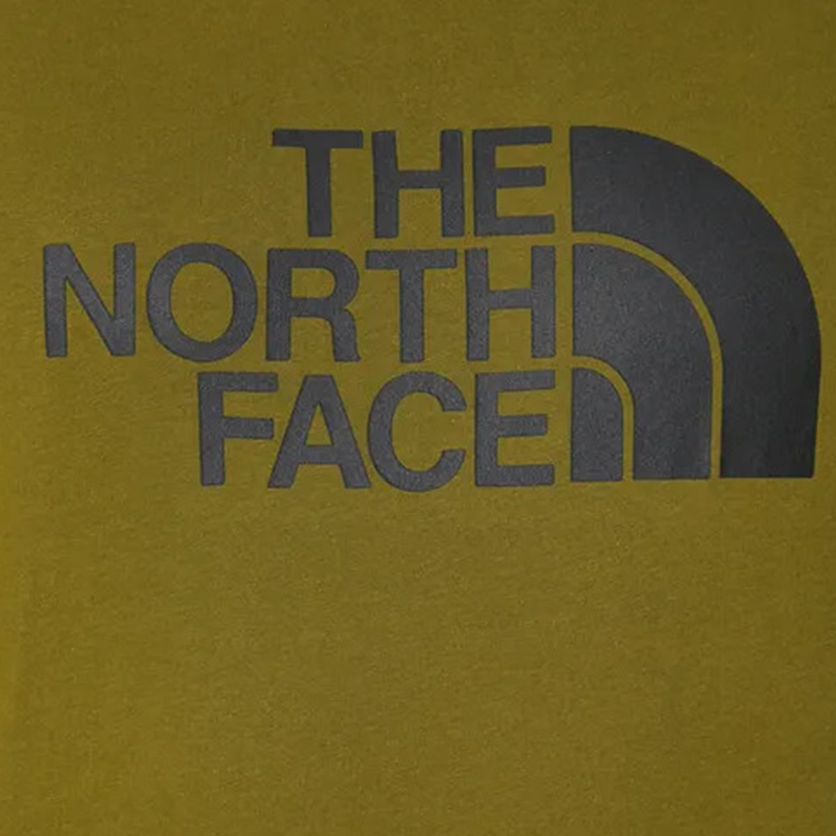 The North Face Easy 