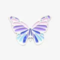 Crocs Multi Purple Butterfly 