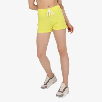 Champion Shorts 