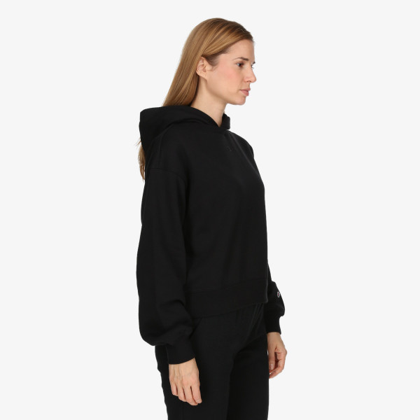 Champion Hoodded Sweatshirt 