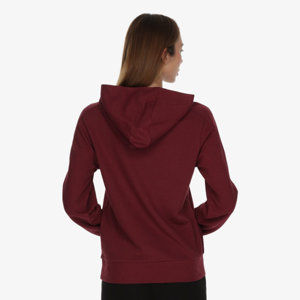 Champion Hooded Sweatshirt 