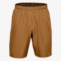 Under Armour UA Woven Graphic Shorts 