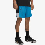 Under Armour UA BASELINE SHORT 