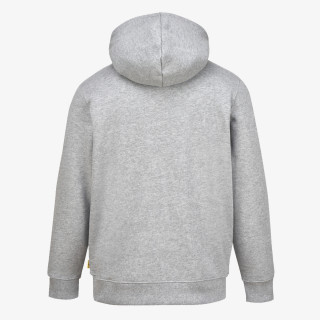 Under Armour CURRY SPLASH HOODIE 