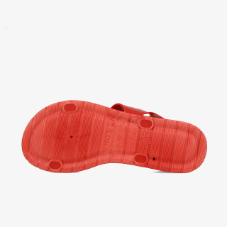 Zaxy ZAXY FRESH MEMORY FEM 