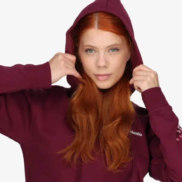 COLUMBIA Columbia Trek™ Special Graphic Hoodie 