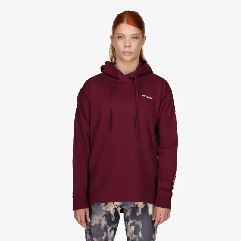 COLUMBIA Columbia Trek™ Special Graphic Hoodie 