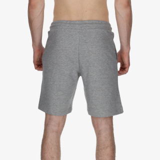 Champion EU Class Label 