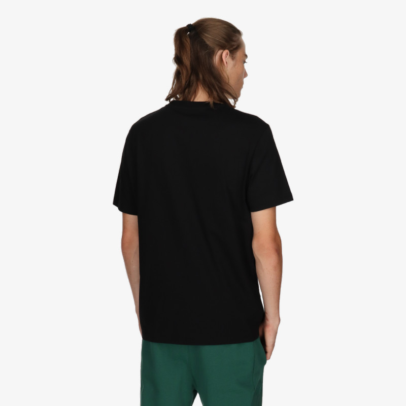 Champion Neon 