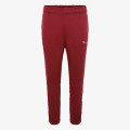 Champion Elastic Cuff Pants 