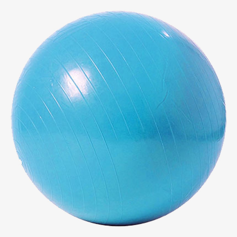 Capriolo Lopta za pilates 65cm 