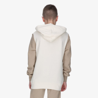 Champion Hooded Sweatshirt 