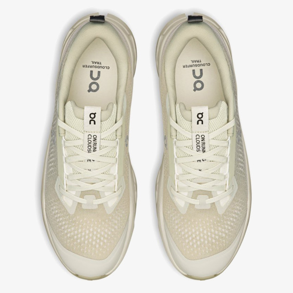 On Cloudsurfer Trail 2 