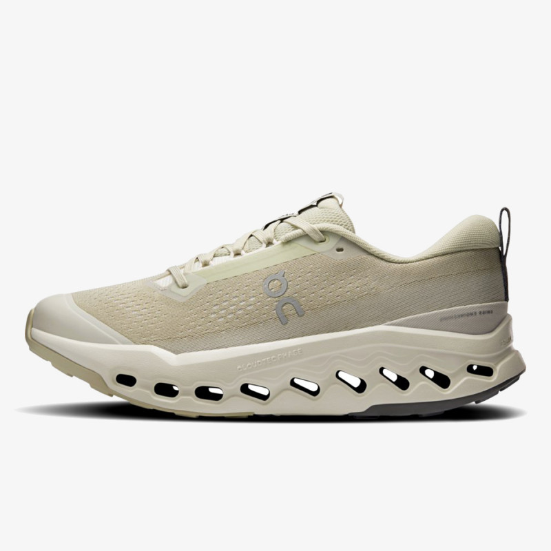 On Cloudsurfer Trail 2 