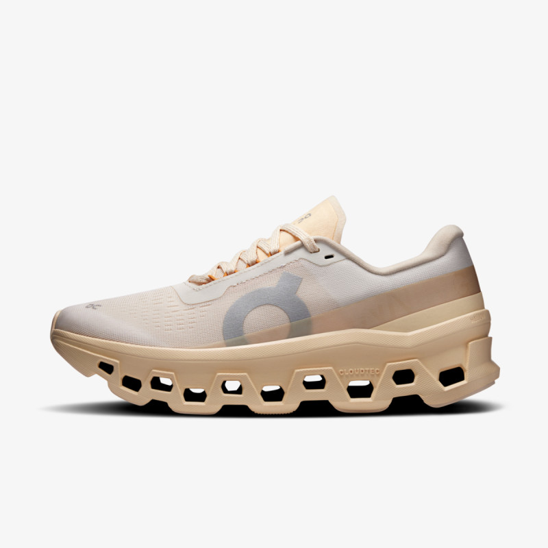 On Cloudmonster 1 