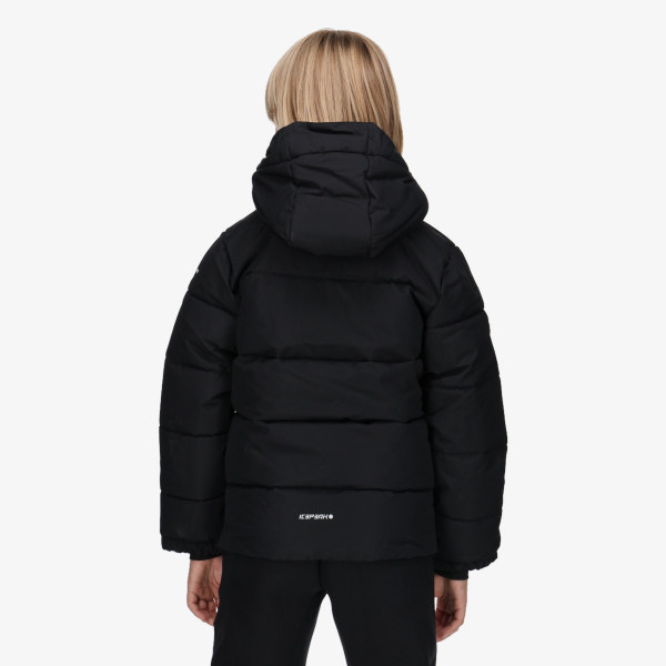 Icepeak LOUIN 