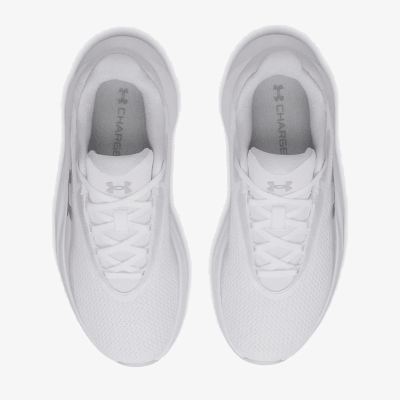 Under Armour UA W RADIANT TR 