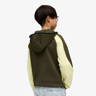 Puma PUMA EVOSTRIPE FULL-ZIP HOODIE DK B 