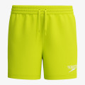 Speedo Classic 
