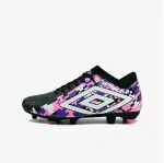 Umbro Formation