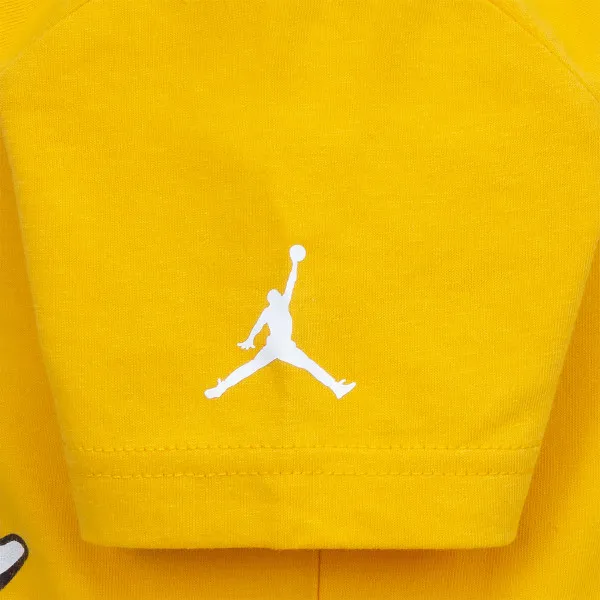 Nike Jordan Air 2 