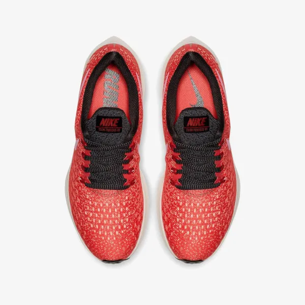 Nike Air Zoom Pegasus 35 