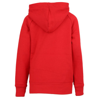 Nike JDB JUMPMAN LOGO FLEECE PO 