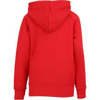 Nike JDB JUMPMAN LOGO FLEECE PO 