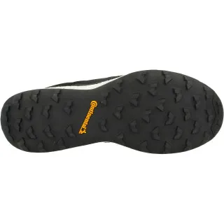 adidas TERREX AGRAVIC XT GTX 