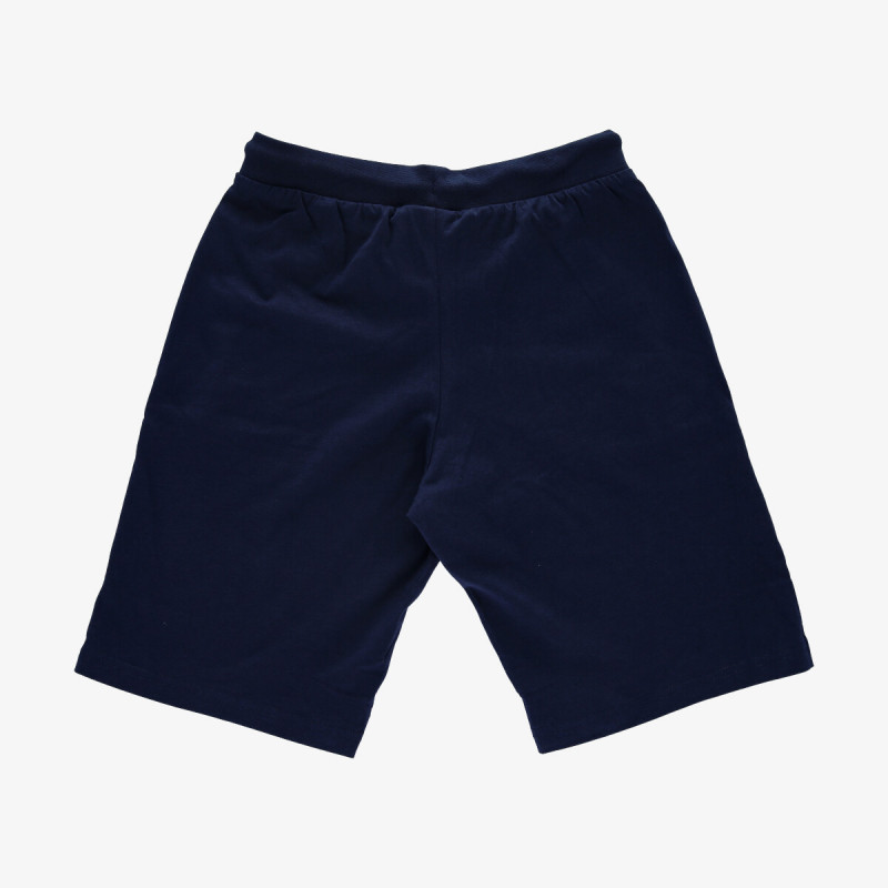Champion Big Logo Shorts 