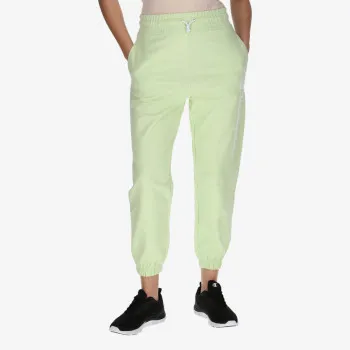 Champion Neon 