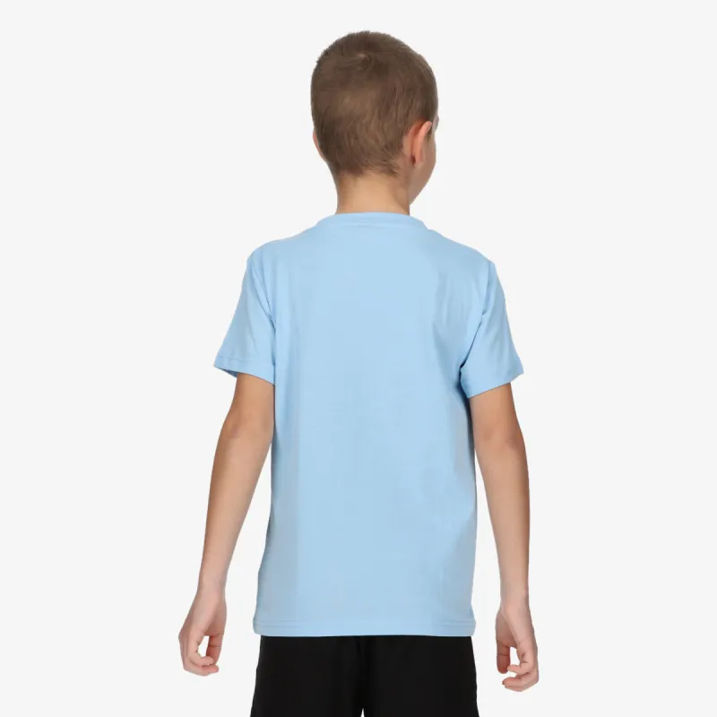 CHAMPION 19 