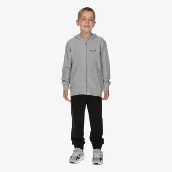 Champion Back to school 