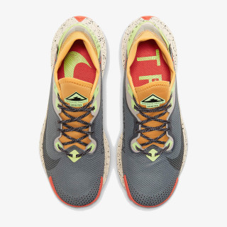 Nike NIKE PEGASUS TRAIL 2 GTX 