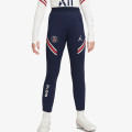 Nike Paris Saint-Germain Strike Home 