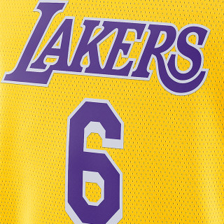 Nike LeBron James Lakers Icon Edition 2020 