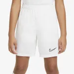 Nike Academy 
