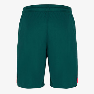 Nike LFC M NK DF STAD SHORT 3R 