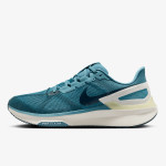 Nike Structure 25 