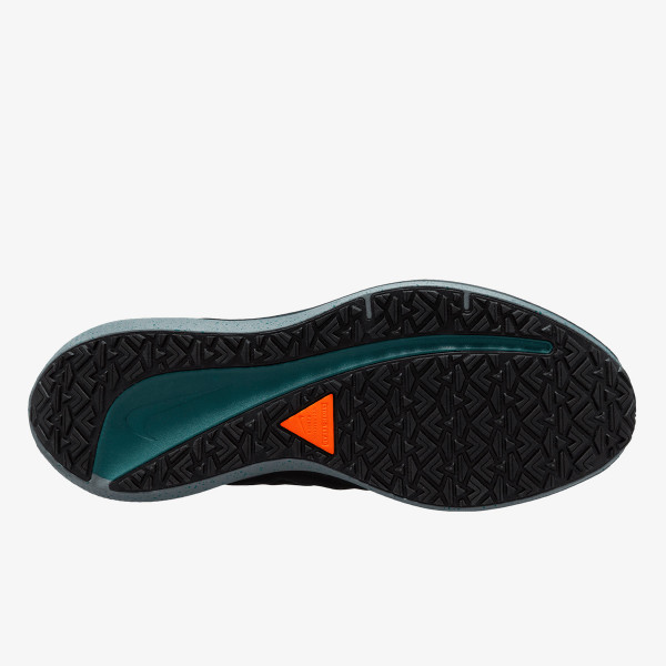 Nike Winflo 9 Shield 