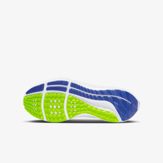 NIKE AIR ZOOM PEGASUS 39 