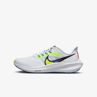 NIKE AIR ZOOM PEGASUS 39 