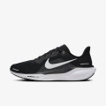 Nike Pegasus 41 