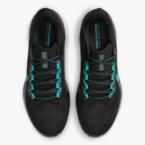 Nike Pegasus 41 