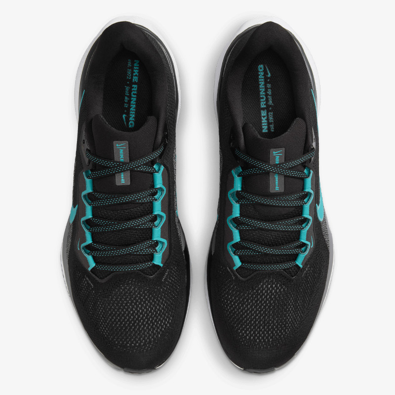 Nike Pegasus 41 